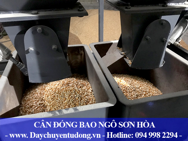 Cân đóng bao ngô 